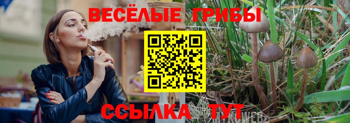 Ставрополь  Псилоцибиновые грибы Cubensis  Вход с VPN 